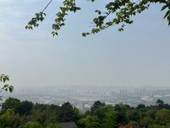 -铁山坪森林公园