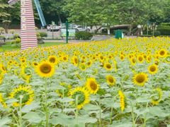 -广州莲花山旅游区