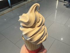 -武夷星茶业(上海环球金融中心店)