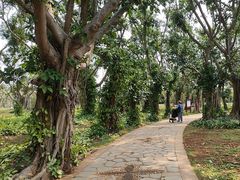 -白沙门生态公园