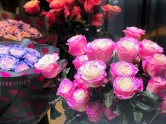 -ROSEONLY诺誓(磐基中心店)