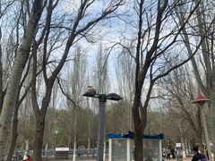 -长白岛森林公园