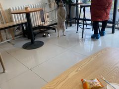 -平行世界·猫咖(首经贸店)