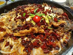 -老板恋上鱼(恒隆广场店)