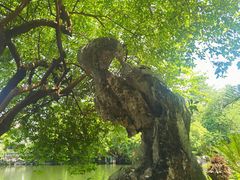 -东莞市可园博物馆