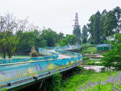 -白鹭湾湿地公园