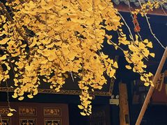 -古大圣慈寺