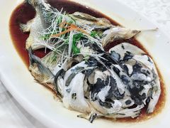 清蒸四海胖头鱼-雅和生态渔庄·宜城锅巴饭(龙灵山公园店)