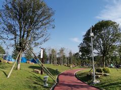 -铁山坪森林公园