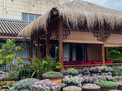 -山菌美食苑(振兴路店)