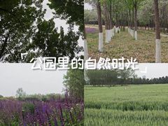 -汉长安城未央宫国家考古遗址公园