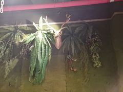 -渝厨生态火锅(合川区府店)