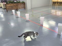 -蓝天射箭馆·专业射箭运动(诚丰广场店)