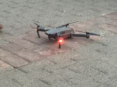 -虾弄弄海派小龙虾·牛羊蝎子火锅