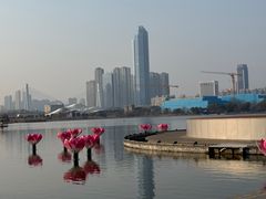 -月湖风景区