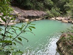 -广州白江湖森林公园