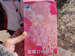 -香雪海
