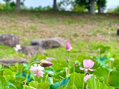 -滆湖低碳生态公园
