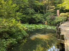 -杭州半山国家森林公园