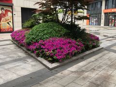 -浦江城市生活广场(江月路店)