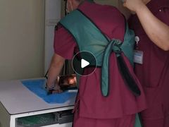 -纳吉亚猫专科动物诊疗中心(蒋宅口分院)