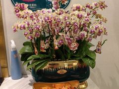 -龙凤点心饼家·39年老字号(松岗店)