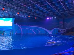 -海合安青岛极地海洋公园