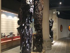 -乐山乌木文化博览苑