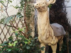 -边渡咖啡烘焙店(昙华林店)