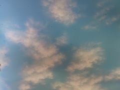 -澳门威尼斯人综合度假区