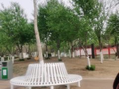 -丁香湖公园