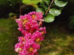 -新虹桥中心花园