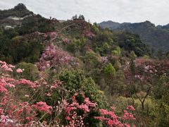 -岳西天峡风景区
