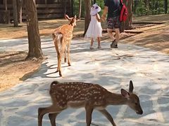 -南戴河国际娱乐中心