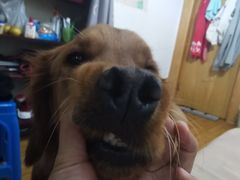 -宠颐生动物医院·心脏科·保险定点(锦阳分院)