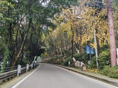 -重庆平顶山公园