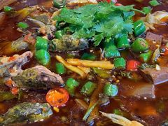 黄辣丁-大蓉和(双楠店)