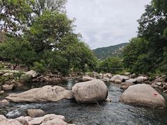 -崂山水果园农家宴(泉水鸡店)