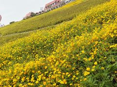 -歌斐颂巧克力小镇