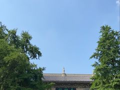-灵谷景区