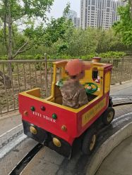 -大望京儿童游乐场