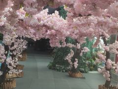 -天山海世界·米立方