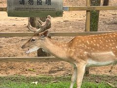 -秦皇岛野生动物园