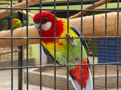 -北京野生动物园