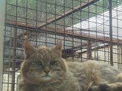 -青藏高原野生动物园