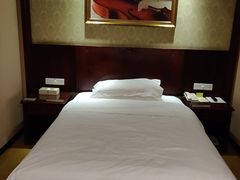 -维也纳酒店(广州惠福西上下九店)