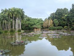 -中国科学院西双版纳热带植物园