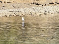 -九曲溪竹筏码头