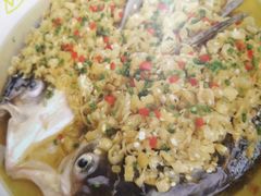 新派鱼头皇-青叶202都市餐厅(迪诺水镇店)