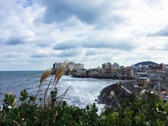 -龙头岩(Dragon Head Rock)